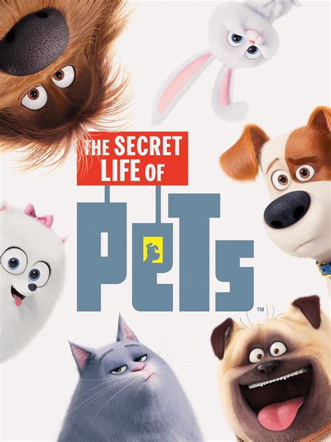 The Secret Life of Pets .